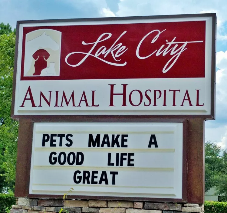 Lake City Animal Hospital, Florida, Lake City